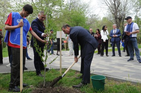 ������� ���������� ��������� ������ ������� � �������� ��������������� ������ ������